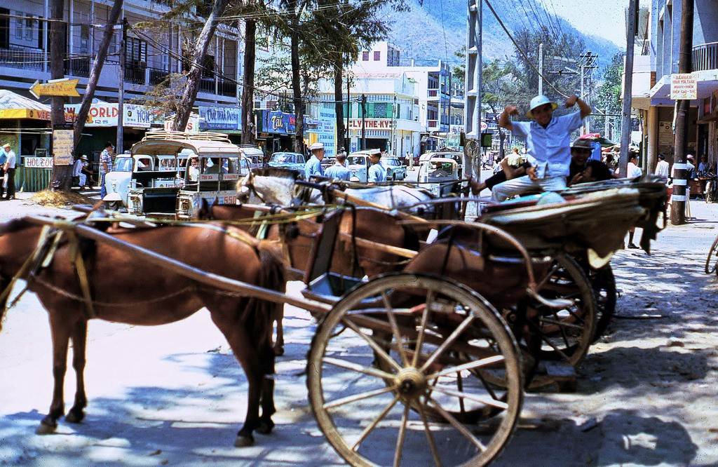 Tác giả bộ ảnh Terry Maher tạo dáng chụp ảnh bên xe ngựa ở đường Trần Hưng Đạo.